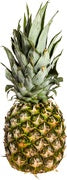 Ananas groen kaartje