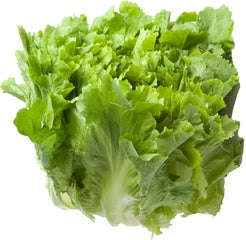Andijvie groen kaartje