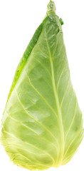 Spitskool groen kaartje