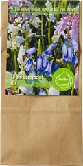 Bloembollen boshyacint mix 1 st