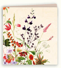 Ansichtkaart marianne bloemen hessenhof