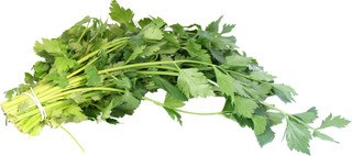 Selderij bosje groen kaartje