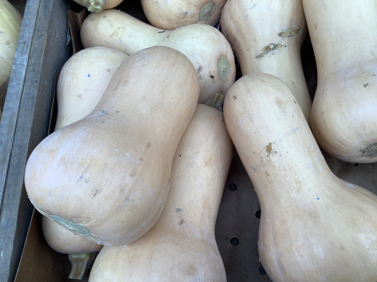 Butternut pompoen groen kaartje
