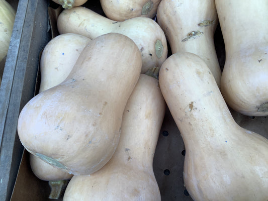 Butternut pompoen groen kaartje