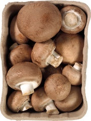 Kastanje champignon groen kaartje