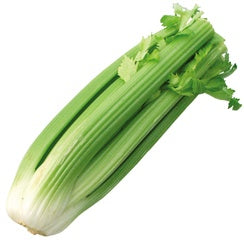 Bleekselderij groen kaartje