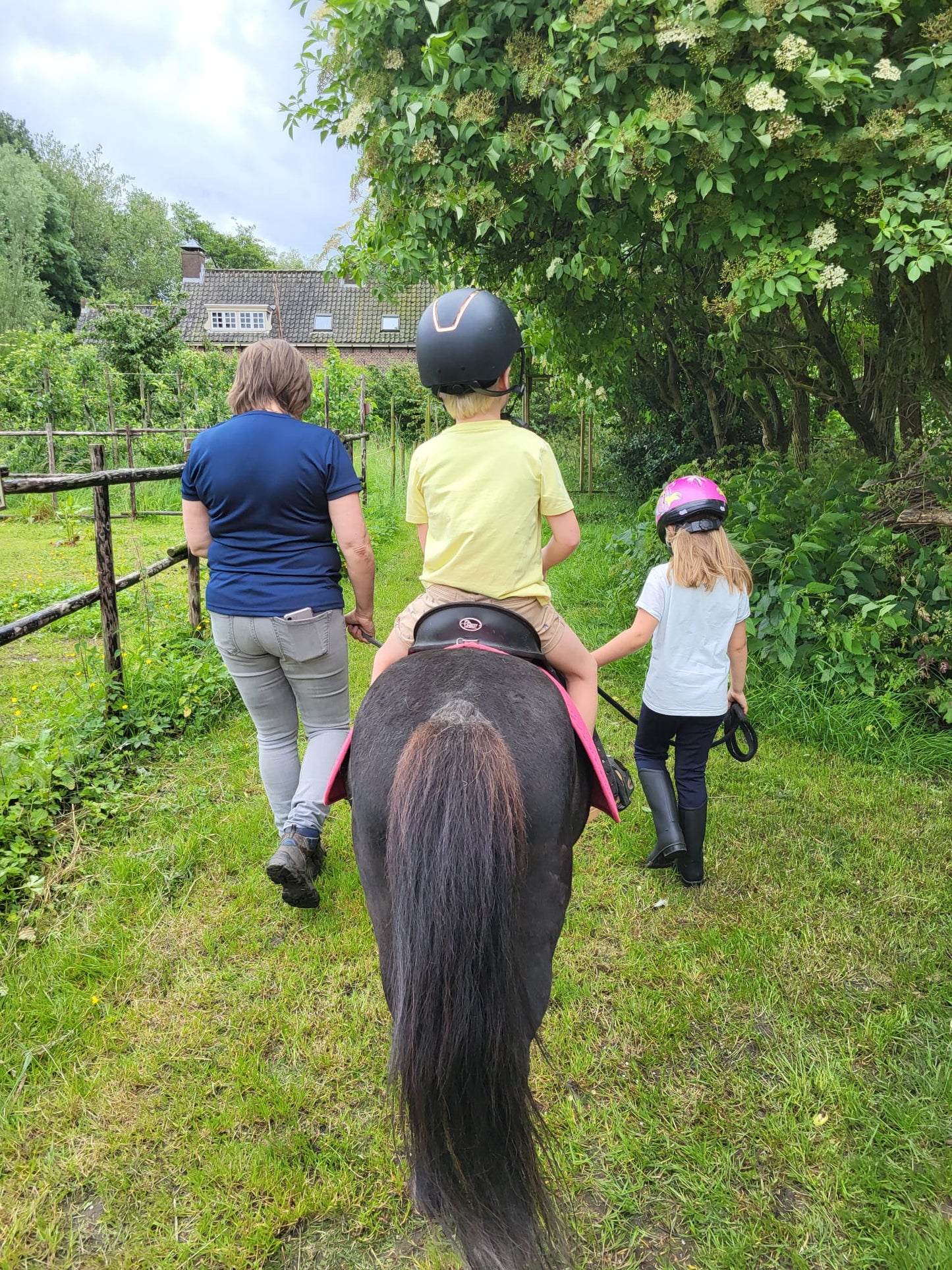 Ponyritje