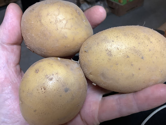 Twister onbespoten regio per kilo